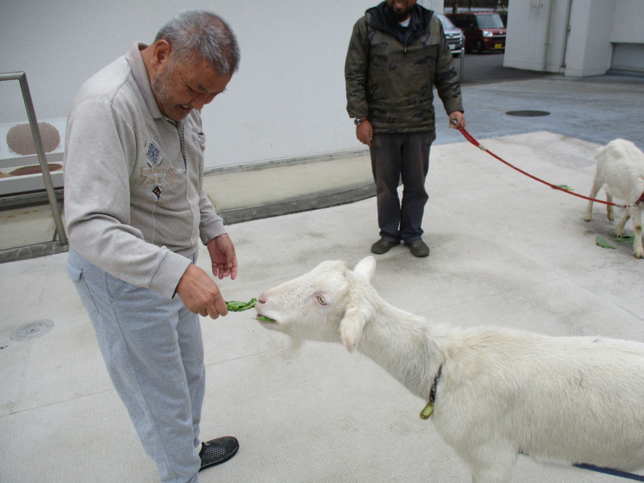 「ふれあい動物園」を開催しました。3
