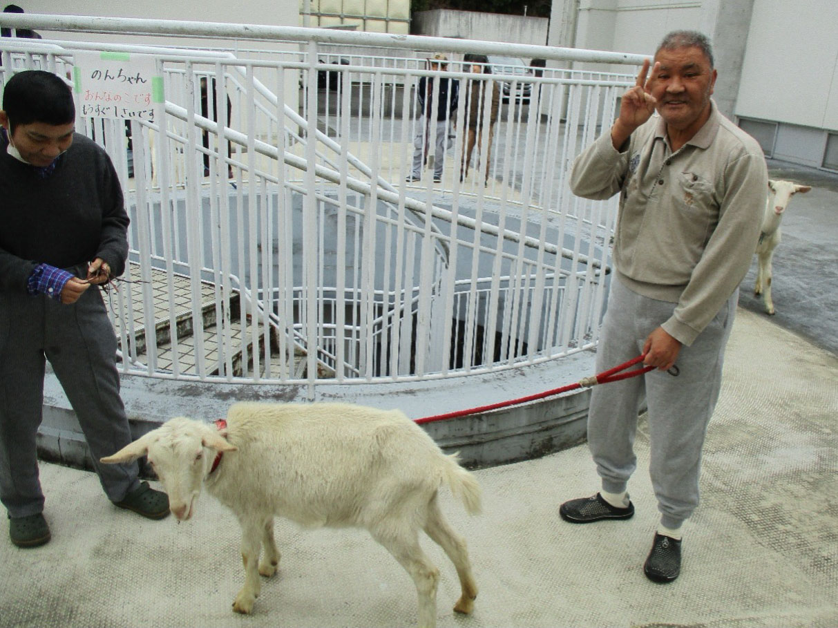 「ふれあい動物園」を開催しました。4