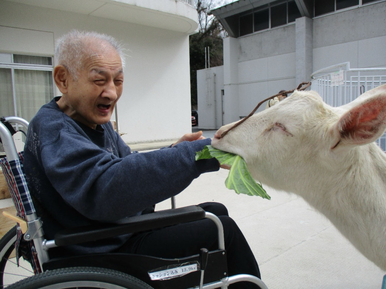 「ふれあい動物園」を開催しました。5